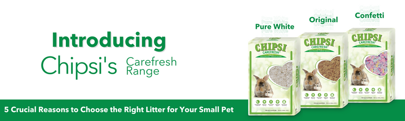 5 Crucial Reasons to Choose the Right Litter for Your Small Pet