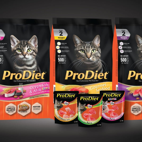 Pro diet outlet cat food