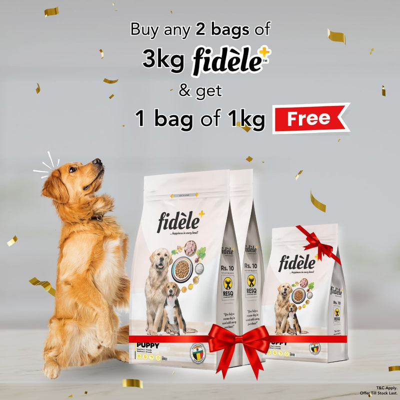 Fidele+ Dry Dog Food Adult Light & Senior