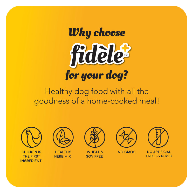 Fidele+ Dry Dog Food Adult Large Breed