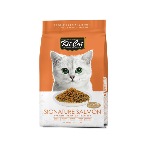 Kit Cat Dry Cat Food Premium Signature Salmon For Adult Orange